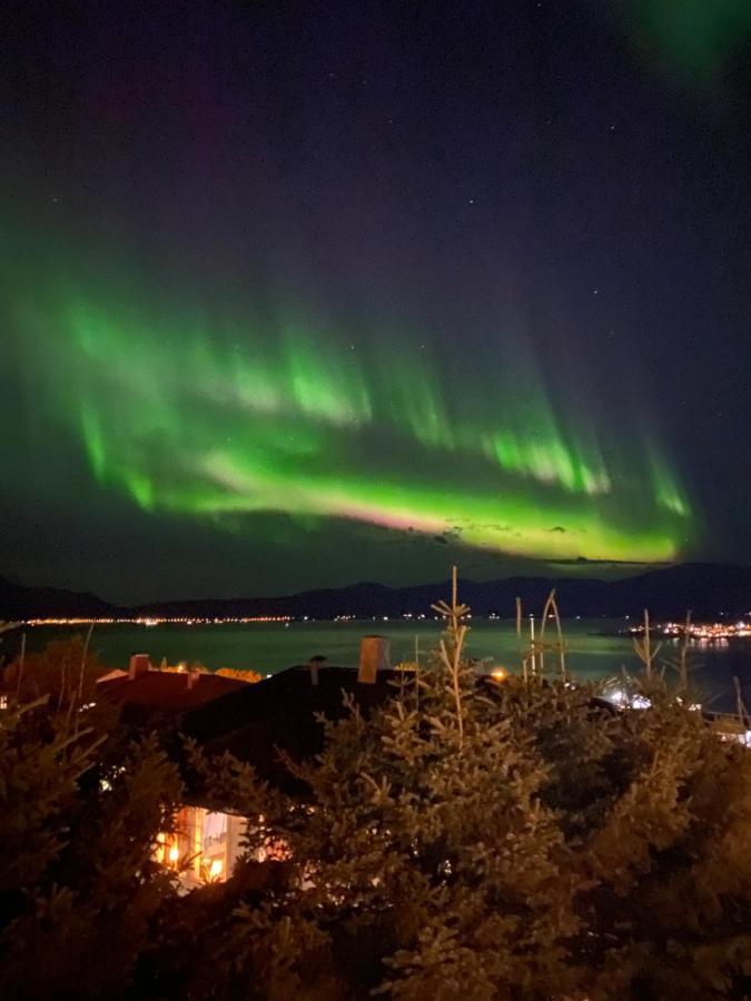 Panorama Daire Tromsø Dış mekan fotoğraf